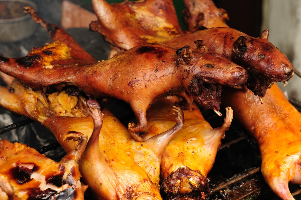 Las 11 comidas más exóticas de Colombia Cocinarte