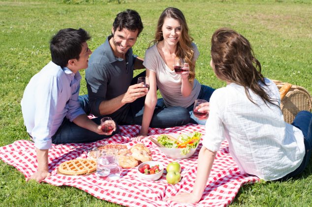 ¿qué Tener En Cuenta Al Hacer Un Picnic Cocinarte